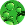 Chlorophyll