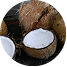 Coconut Milk Powder